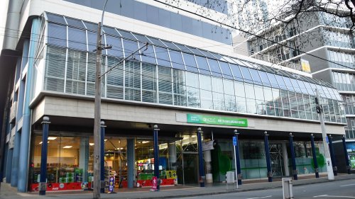 NZLC - New Zealand Language Centres