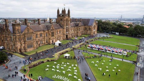 University of Sydney